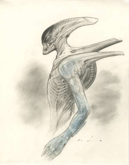 CARLOS HUANTE: 'Hybrid' drawing CARLOS HUANTE: 'Hybrid' drawing