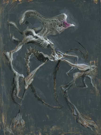 XenoMorpheus 3 XenoMorpheus 3